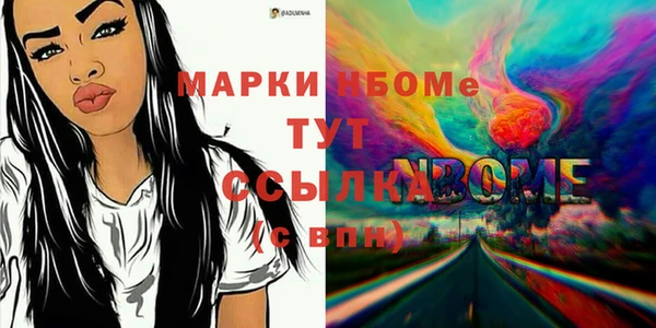 твердый Арсеньев