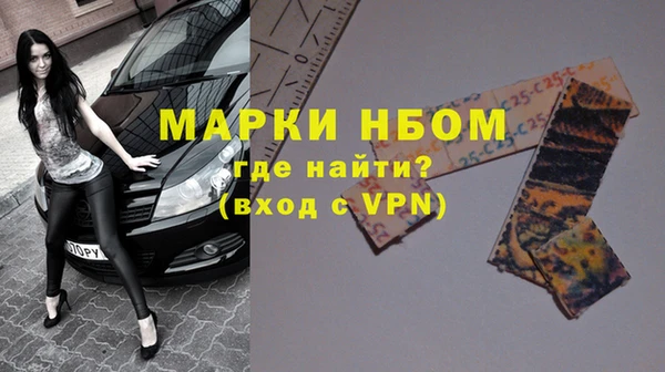твердый Арсеньев