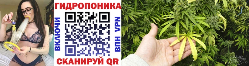 наркошоп Обоянь Шишки марихуана план